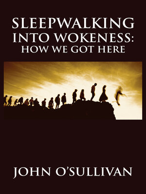 cover image of Sleepwalking Into Wokeness